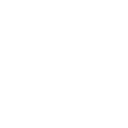 icons wedding all-28.png