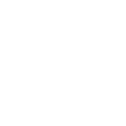 icons wedding all-90.png